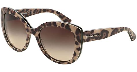 dolce and gabbana leopard glasses|dolce and gabbana glasses boots.